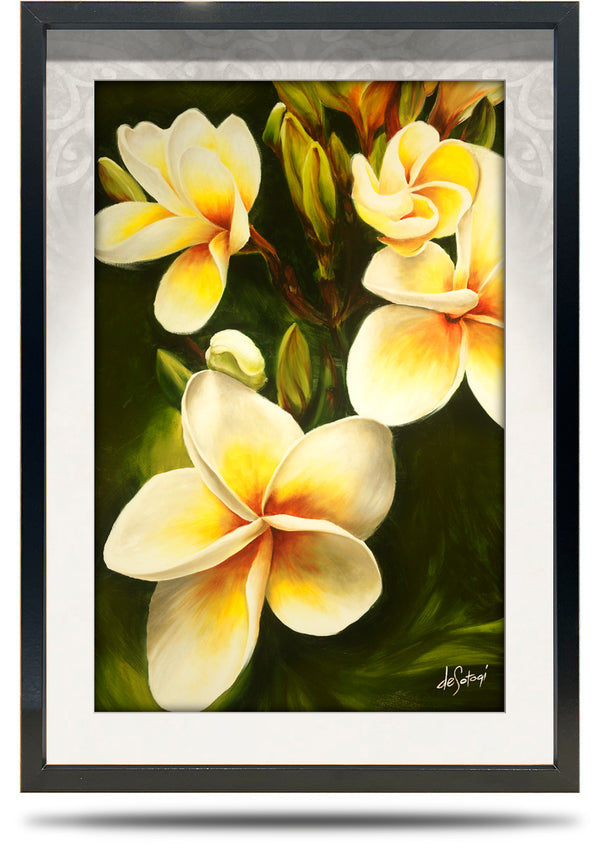 Frangipani - A2 Framed Canvas Print