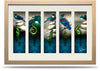 24"x36" Framed Canvas Print - 5 Tuis