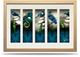 24"x36" Framed Canvas Print - 5 Tuis