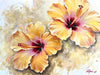 Hibiscus Two - Canvas Print