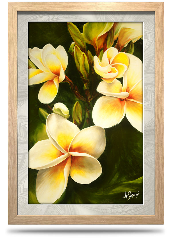 Frangipani - 24"x36" Framed Canvas Print