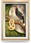 24"x36" Framed Canvas Print - Te Huia