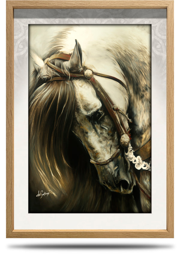Serenity - A2 Framed Canvas Print