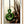 Shade of Jade - A2 Framed Canvas Print