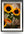 Sunflower Splendour - A2 Framed Canvas Print