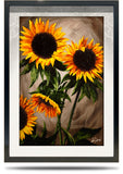 A2 Framed Canvas Print - Sunflower Splendour