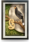 24"x36" Framed Canvas Print - Te Huia