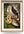 Te Huia - A2 Framed Canvas Print