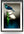 Winter Song - A2 Framed Canvas Print