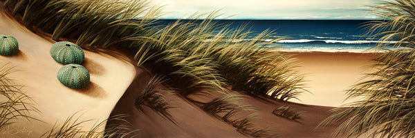 Coastal Summer - Canvas Print