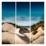 Sanddune Shadows - Canvas Triptych Print
