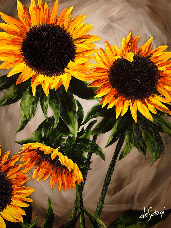 Sunflower Splendour - Canvas Print