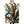 Fine Art Paper Print - Riverstone Flax